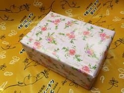 千葉半立 A-5