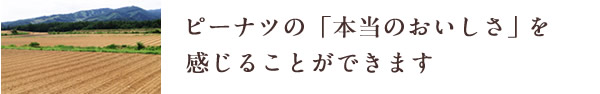 ピーナッツの本当のおいしさを感じることができます