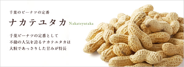 千葉のピーナッツの定番 ナカテユタカ